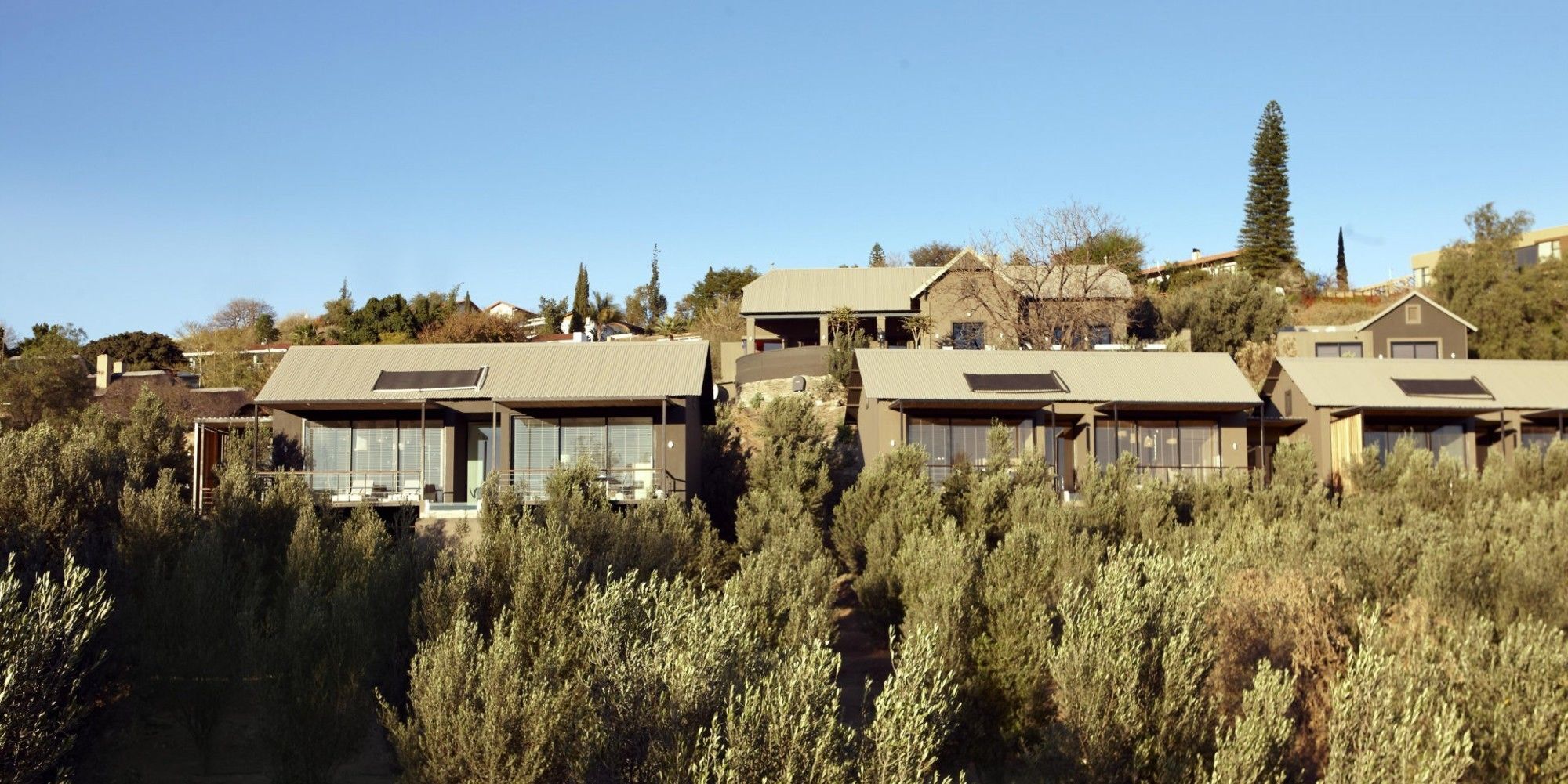 The Olive Exclusive All-Suite Hotel Windhoek Eksteriør bilde
